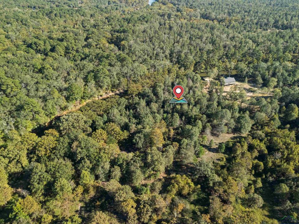 2500 PR 7200 Lot #1, Jefferson, テキサス 75657, アメリカ合衆国