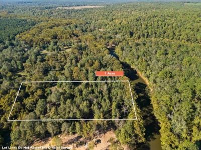 2500 PR 7200 Lot #1, Jefferson, テキサス 75657, アメリカ合衆国