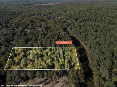 2500 PR 7200 Lot #1, Jefferson, テキサス 75657, アメリカ合衆国