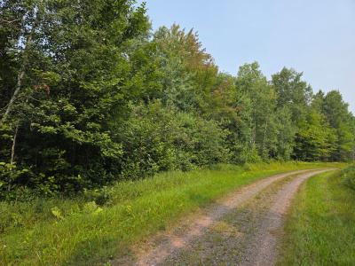 26.84AC OFF Hwy M28, Bruce Crossing, Wisconsin 49912