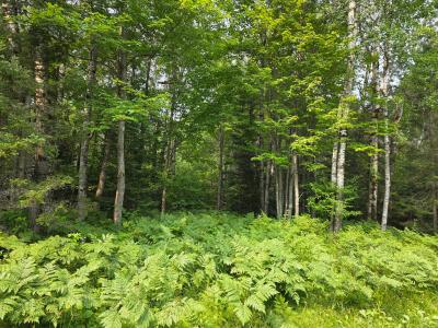 26.84AC OFF Hwy M28, Bruce Crossing, Wisconsin 49912