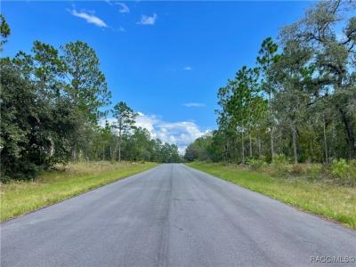 2172 W Wilmington Loop, Citrus Springs, Florida 34434, Estados Unidos