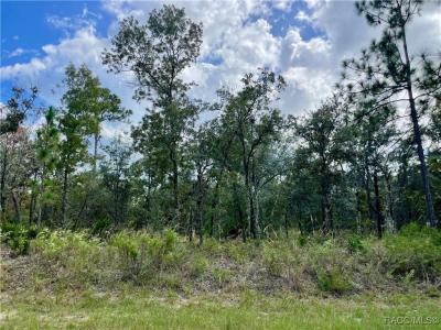 2172 W Wilmington Loop, Citrus Springs, Florida 34434, Estados Unidos