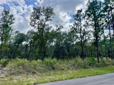 2172 W Wilmington Loop, Citrus Springs, Florida 34434, Estados Unidos