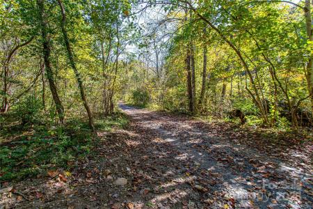 10 Dodd Road, Barnardsville, צפון קרוליינה 28709, ארצות הברית של אמריקה 