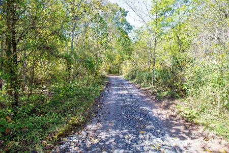 10 Dodd Road, Barnardsville, צפון קרוליינה 28709, ארצות הברית של אמריקה 