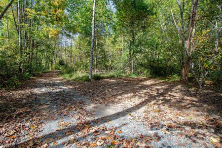 10 Dodd Road, Barnardsville, צפון קרוליינה 28709, ארצות הברית של אמריקה 