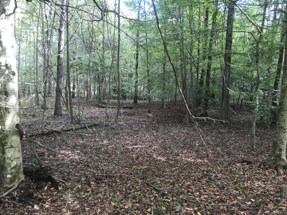 0 Farmhouse Trail 91.2 Acres Land, Morehead, Kentucky 40351, USA