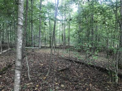 0 Farmhouse Trail 91.2 Acres Land, Morehead, Kentucky 40351, USA