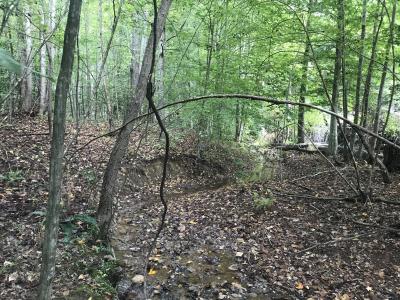 0 Farmhouse Trail 91.2 Acres Land, Morehead, Kentucky 40351, USA