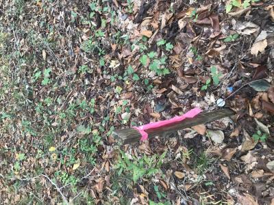 0 Farmhouse Trail 91.2 Acres Land, Morehead, Kentucky 40351, USA