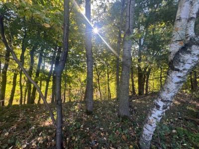 1904 Pine Avenue E, Menomonie, Wisconsin 54751, USA