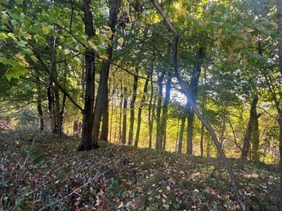 1904 Pine Avenue E, Menomonie, Wisconsin 54751, USA