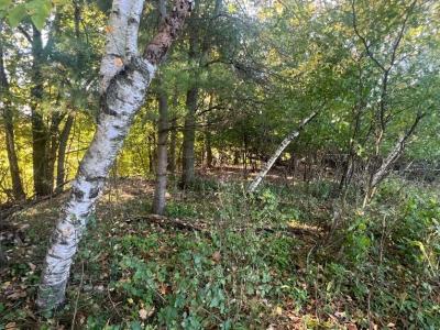 1904 Pine Avenue E, Menomonie, Wisconsin 54751, USA