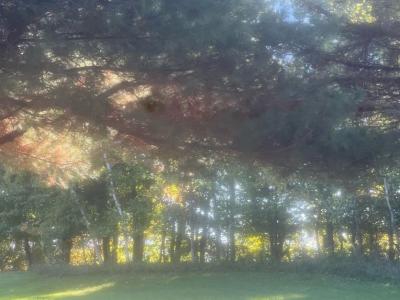 1904 Pine Avenue E, Menomonie, Wisconsin 54751, USA