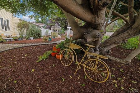 509 Rainsville Rd, Petaluma, California 94952, Estados Unidos