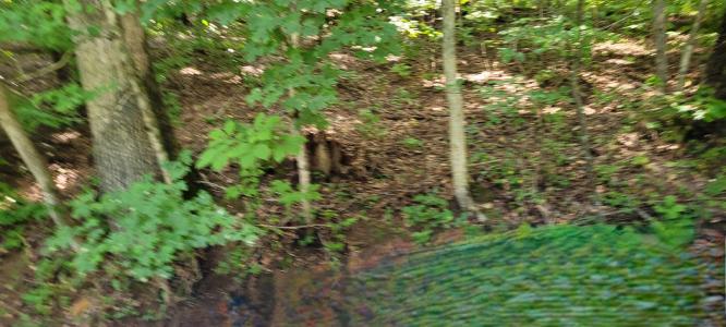 1 Terrapin Run Rd, Dover, Tennessee 37058, Estados Unidos