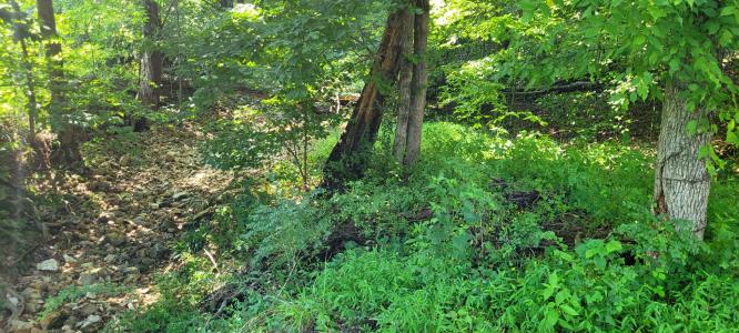 1 Terrapin Run Rd, Dover, Tennessee 37058, Estados Unidos