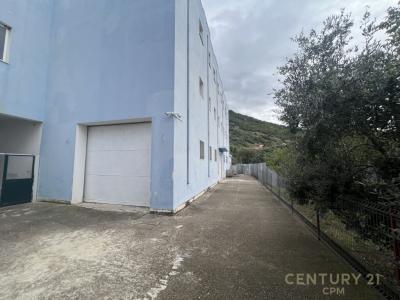 Surrel, Tirana, Albania