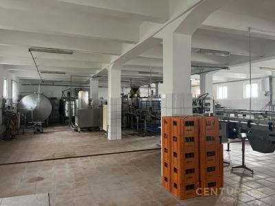 Surrel, Tirana, Albania