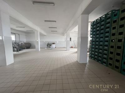 Surrel, Tirana, Albania