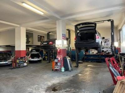 Selitë, Tirana, ألبانيا 