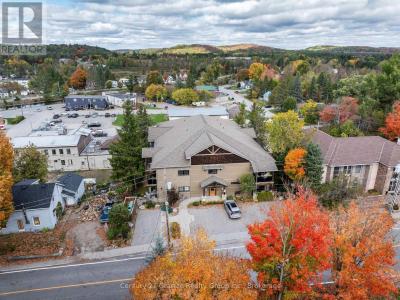 9 NEWCASTLE STREET, Minden Hills (minden), Ontario K0M 2K0, Canada