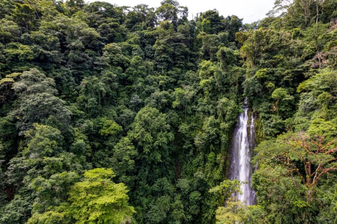 Dominical Osa, Puntarenas 60504, Costa Rica