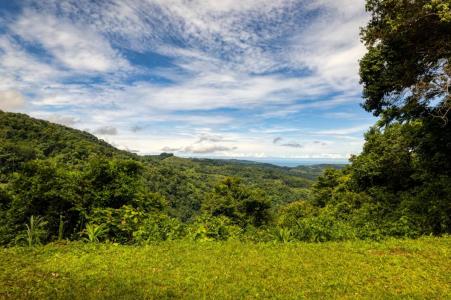 Dominical Osa, Puntarenas 60504, Costa Rica