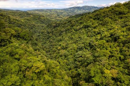 Dominical Osa, Puntarenas 60504, Costa Rica