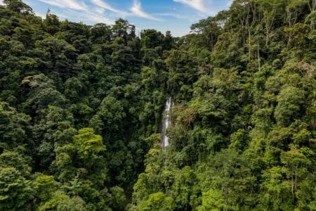 Dominical Osa, Puntarenas 60504, Costa Rica