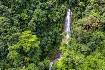 Dominical Osa, Puntarenas 60504, Costa Rica