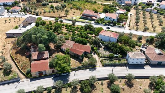 Nelas, Viseu 3520-063, Portugal