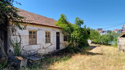 Nelas, Viseu 3520-063, Portugalia