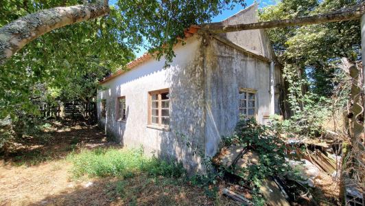 Nelas, Viseu 3520-063, Portugalia