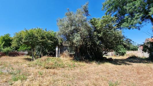 Nelas, Viseu 3520-063, Portugalia