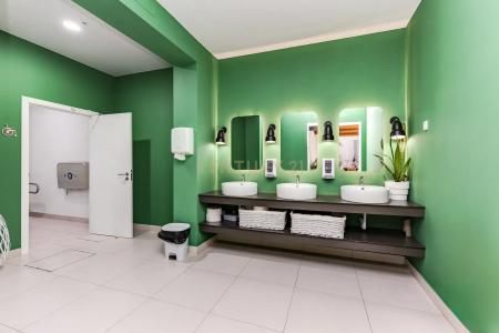 Abrantes, Santarem 2200-073, Portugal