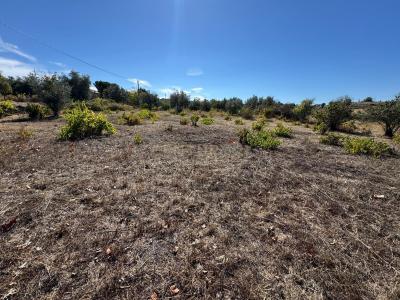 Penamacor, Castelo Branco 6090-112, Portugal