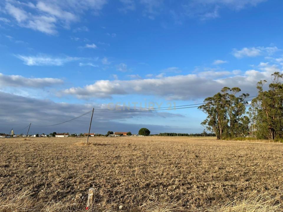 Salvaterra De Magos, סנטרם 2120-217, פורטוגל