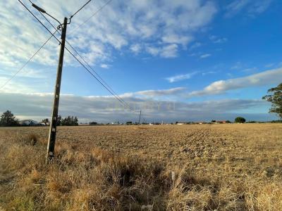 Salvaterra De Magos, סנטרם 2120-217, פורטוגל