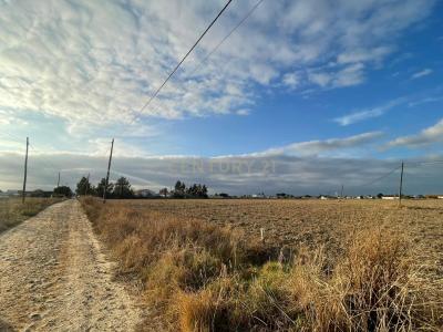 Salvaterra De Magos, סנטרם 2120-217, פורטוגל