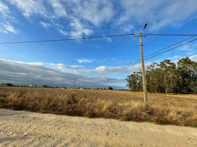 Salvaterra De Magos, סנטרם 2120-217, פורטוגל