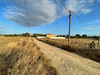 Salvaterra De Magos, סנטרם 2120-217, פורטוגל