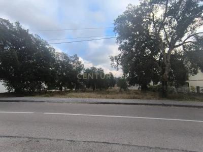 Marinha Grande, Leiria 2430-076, Portugal