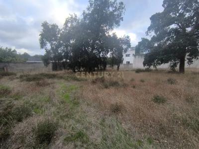 Marinha Grande, Leiria 2430-076, Portugal