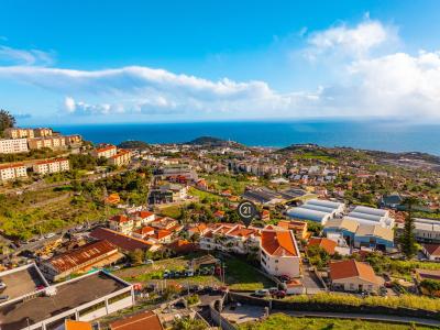 Funchal, 马德拉 9020-195, 葡萄牙