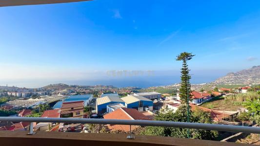 Funchal, 马德拉 9020-195, 葡萄牙