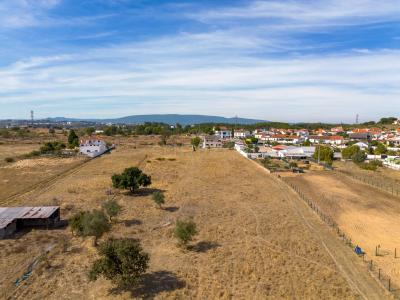 Torres Novas, Santarem 2350-293, Portogallo