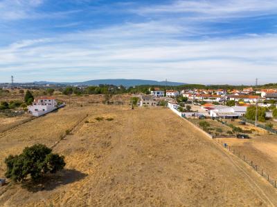Torres Novas, Santarem 2350-293, Portogallo