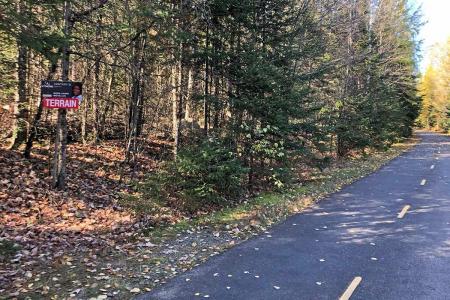 Rue du Colonel, Saint-Faustin/Lac-Carré, Quebec J0T 2G0, Canada